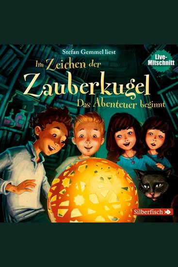 Im Zeichen der Zauberkugel 1: Das Abenteuer beginnt - cover