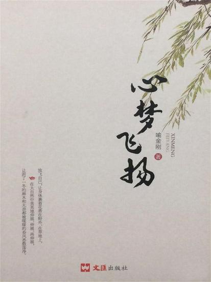 心梦飞扬 - cover