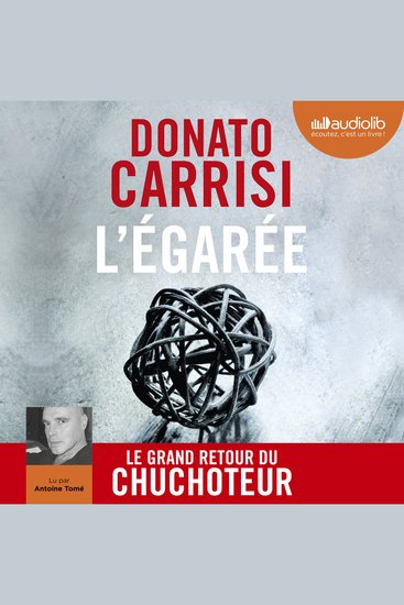 L'Uomo del Labirinto - cover
