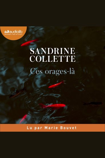 Ces orages-là - cover