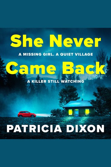She Never Came Back - A BRAND NEW twist-filled suspense thriller of murder and buried family secrets - cover