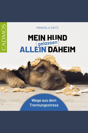 Mein Hund gelassen allein daheim - Wege aus dem Trennungsstress - cover