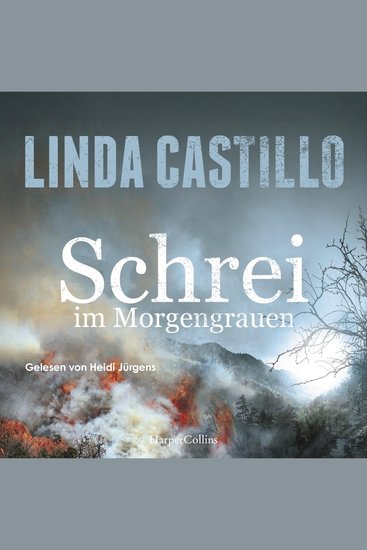 Schrei im Morgengrauen - Ein packendes Familiendrama voller Spannung und Gefühl - cover