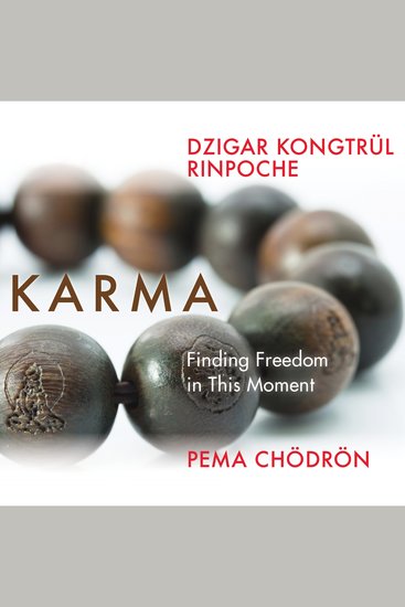 Karma - Finding Freedom in This Moment - cover
