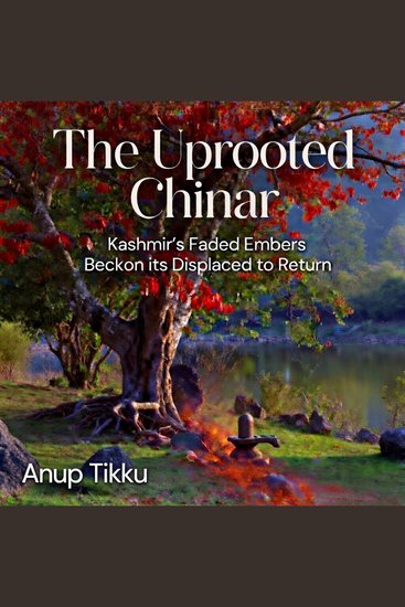 The Uprooted Chinar - Kashmir’s Faded Embers Beckon Its Displaced To Return - cover