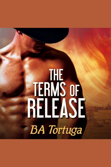 The Terms of Release - cover