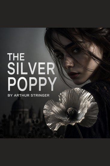 The Silver Poppy - Love Plagiarism and the Dark Side of Literary Fame - cover