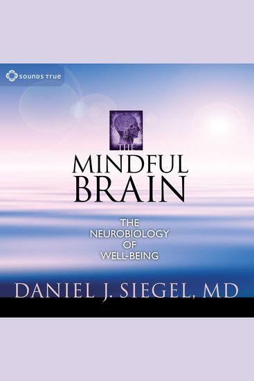 The Mindful Brain - The Neurobiology of Well-Being - cover