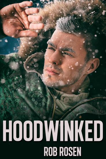 Hoodwinked - cover