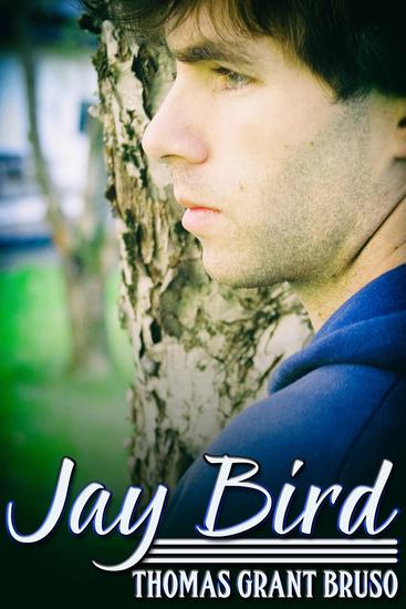 Jay Bird - cover