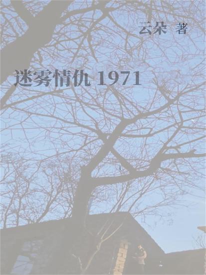 迷雾情仇1971 - cover