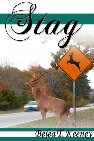 Stag - cover