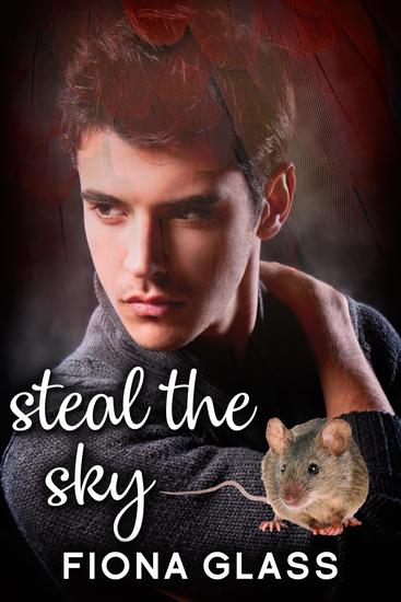 Steal the Sky - cover