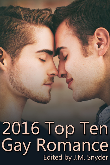 2016 Top Ten Gay Romance - cover