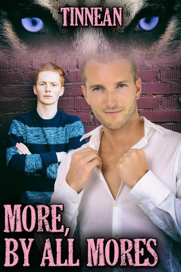 More by All Mores - cover