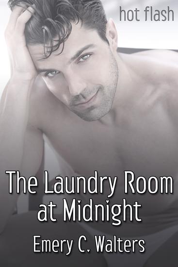 The Laundry Room at Midnight - cover