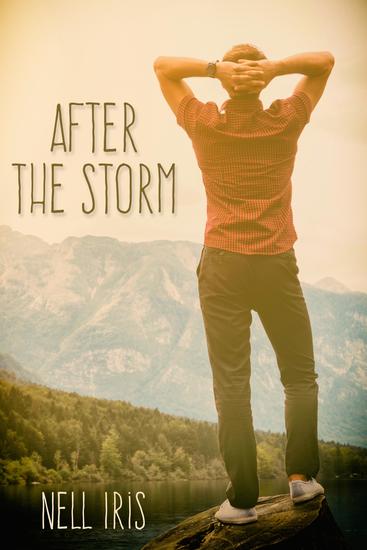 After the Storm - cover