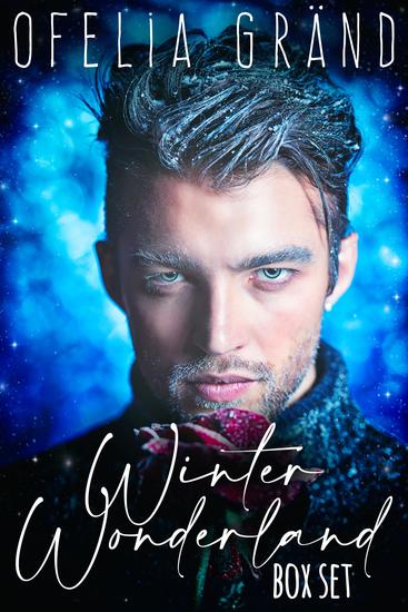 Winter Wonderland Box Set - cover