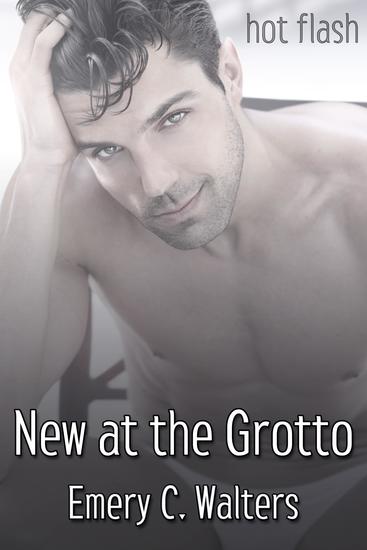 New at the Grotto - cover