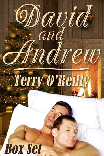 David and Andrew Box Set - cover