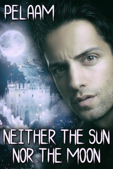 Neither the Sun nor the Moon - cover