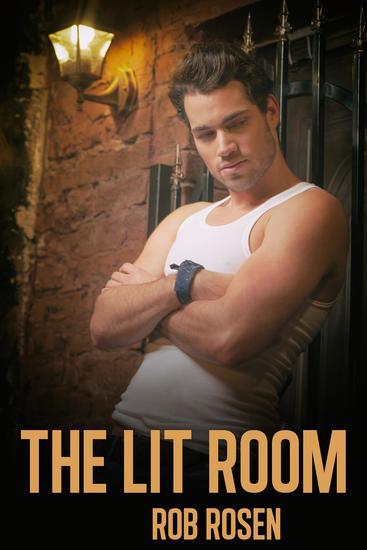The Lit Room - cover