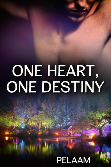 One Heart One Destiny - cover