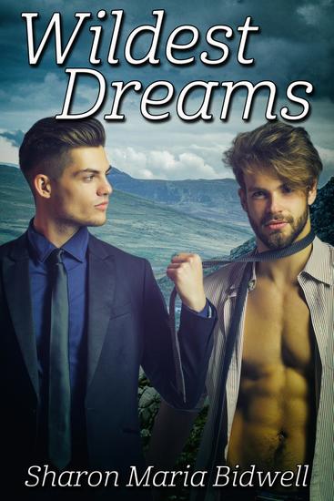 Wildest Dreams - cover