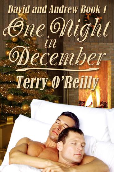 David and Andrew Book 1: One Night in December - cover