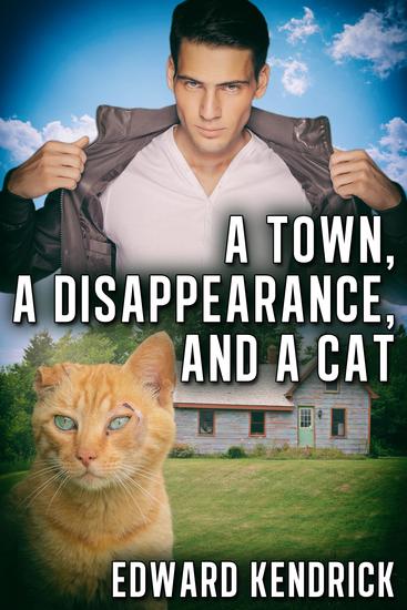 A Town a Disappearance and a Cat - cover