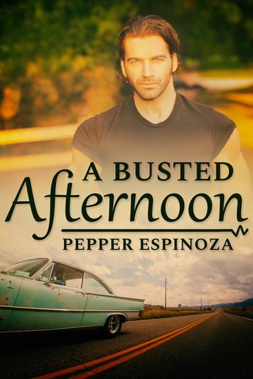 A Busted Afternoon - cover