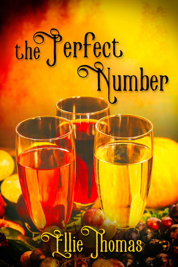 The Perfect Number - cover