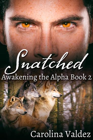 Snatched - cover