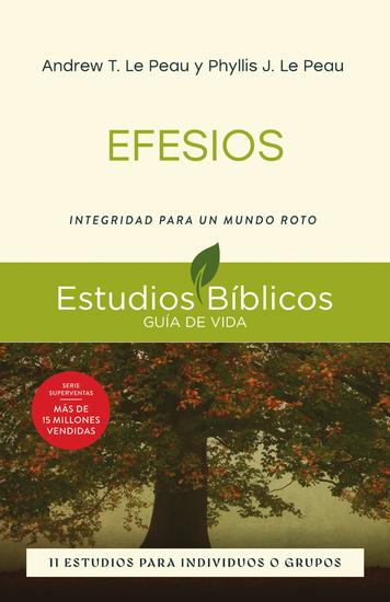 Efesios - Integridad para un mundo roto -- 11 estudios para individuos o grupos - cover