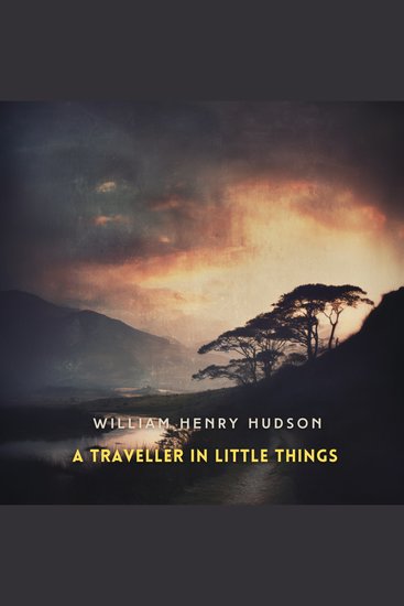 A Traveller in Little Things - cover