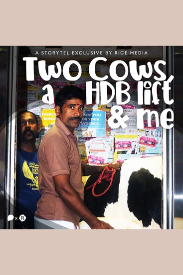 Two Cows a HDB Lift and Me - cover
