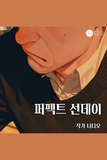 퍼펙트 선데이 - 일상 속 가면 뒤에 숨은 불편한 진실 - cover