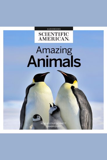 Amazing Animals - cover