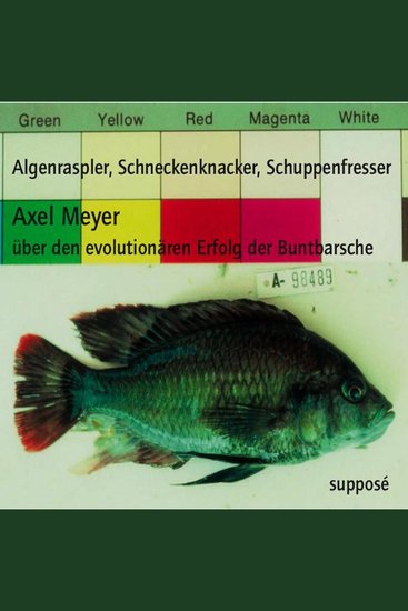 Algenraspler Schneckenknacker Schuppenfresser - Über den evolutionären Erfolg der Buntbarsche - cover