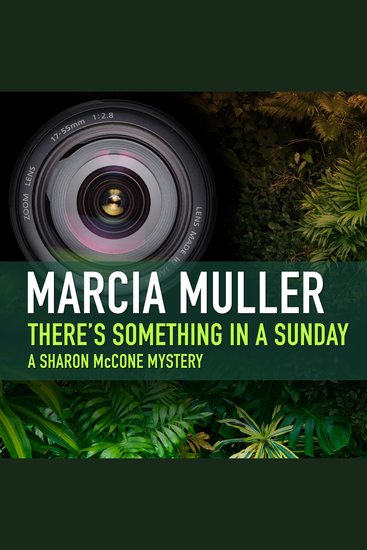 There’s Something in a Sunday - cover