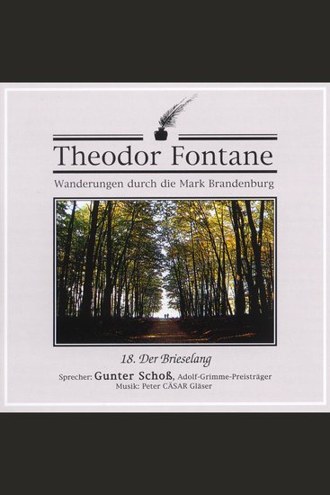 Wanderungen durch die Mark Brandenburg (18) - Der Brieselang - cover