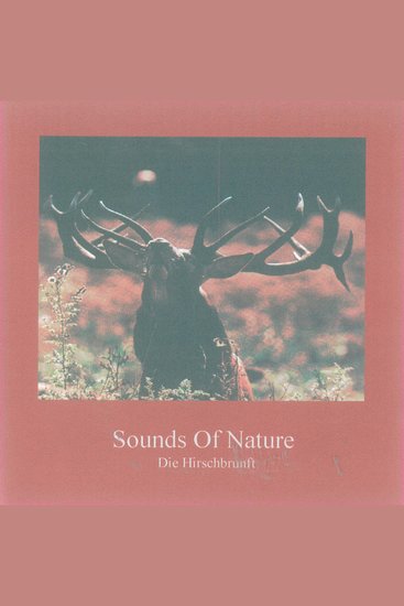 Sounds of Nature - Die Hirschbrunft - cover
