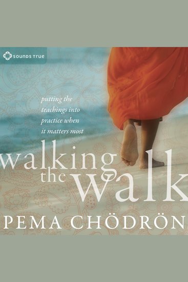 Walking the Walk - Putting the Teachings into Practice When It Matters Most - cover