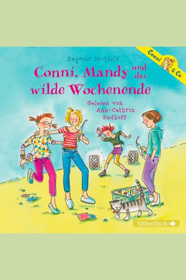 Conni & Co 13: Conni Mandy und das wilde Wochenende - cover