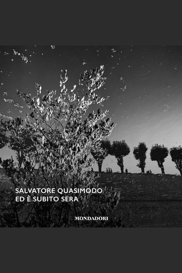 Ed è subito sera - cover