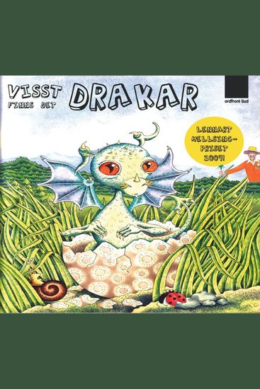 Visst finns det drakar! - cover