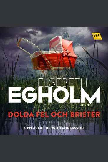 Dolda fel och brister - cover