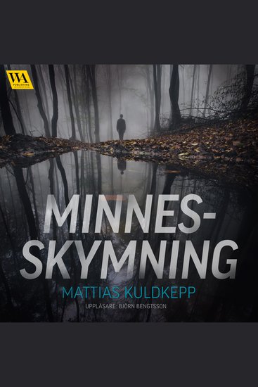 Minnesskymning - cover