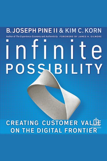 Infinite Possibility - Creating Customer Value on the Digital Frontier - cover