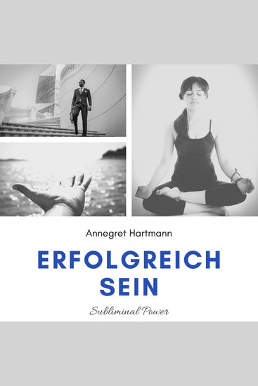 Erfolgreich sein (Subliminal Power) Vol 3 - cover